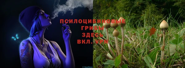 марихуана Абаза
