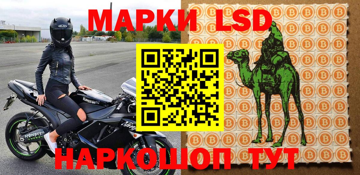 купить закладку  Вход с VPN  Наркотические марки 1500мкг  Александров  Наркотические марки 1500мкг 