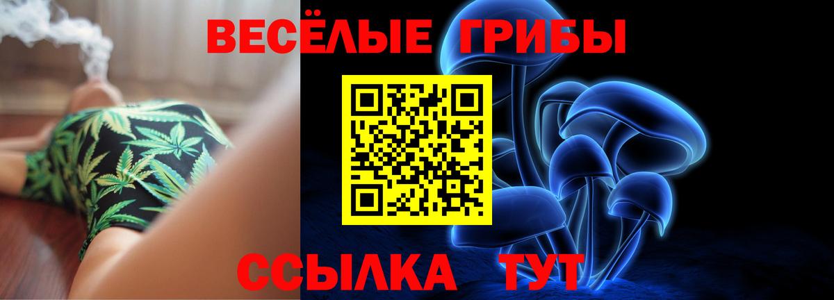 Галлюциногенные грибы Psilocybe Александров