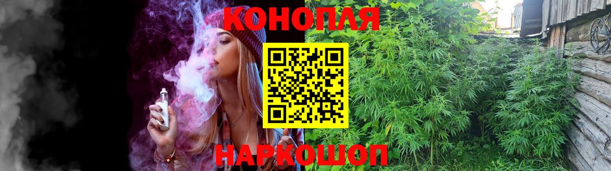 Шишки марихуана сатива  Вход с VPN  Каннабис Amnesia  Александров  МАРИХУАНА AK-47 